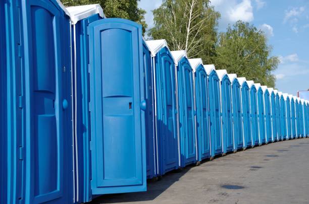 Best Sanitation services for porta potties  in Blue Ash, OH